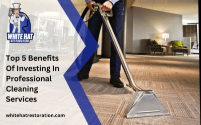Top 5 Benefits Of Investing In Professional Cleaning Services