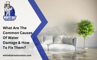 What Are The Common Causes Of Water Damage And How To Fix Them?