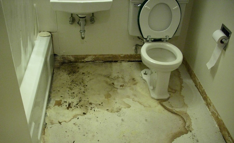 clogged toilets