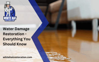 Water Damage Restoration – Everything You Should Know