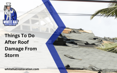 Things To Do After Roof Damage From Storm