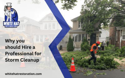 Why you should Hire a Professional for Storm Cleanup