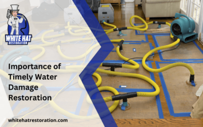 Importance of Timely Water Damage Restoration