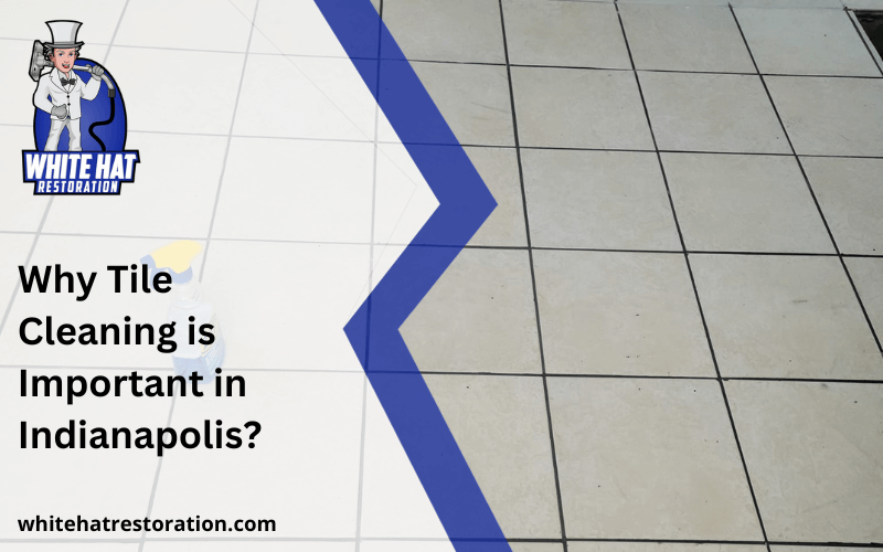 Why Tile and Grout Cleaning Is Important