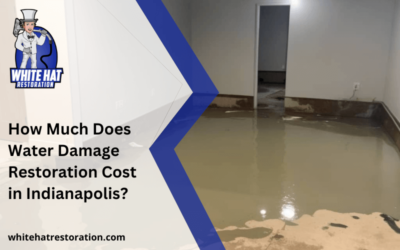 How Much Does Water Damage Restoration Cost in Indianapolis?