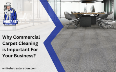 Why Commercial Carpet Cleaning is Important For Your Business?