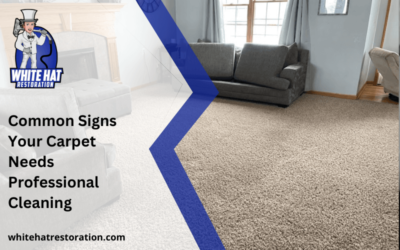 Common Signs Your Carpet Needs Professional Cleaning