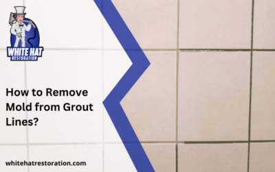 How To Remove Mold From Grout Lines?